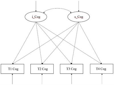 A change in social participation affects cognitive function in middle-aged and older Chinese adults: analysis of a Chinese longitudinal study on aging (2011–2018)